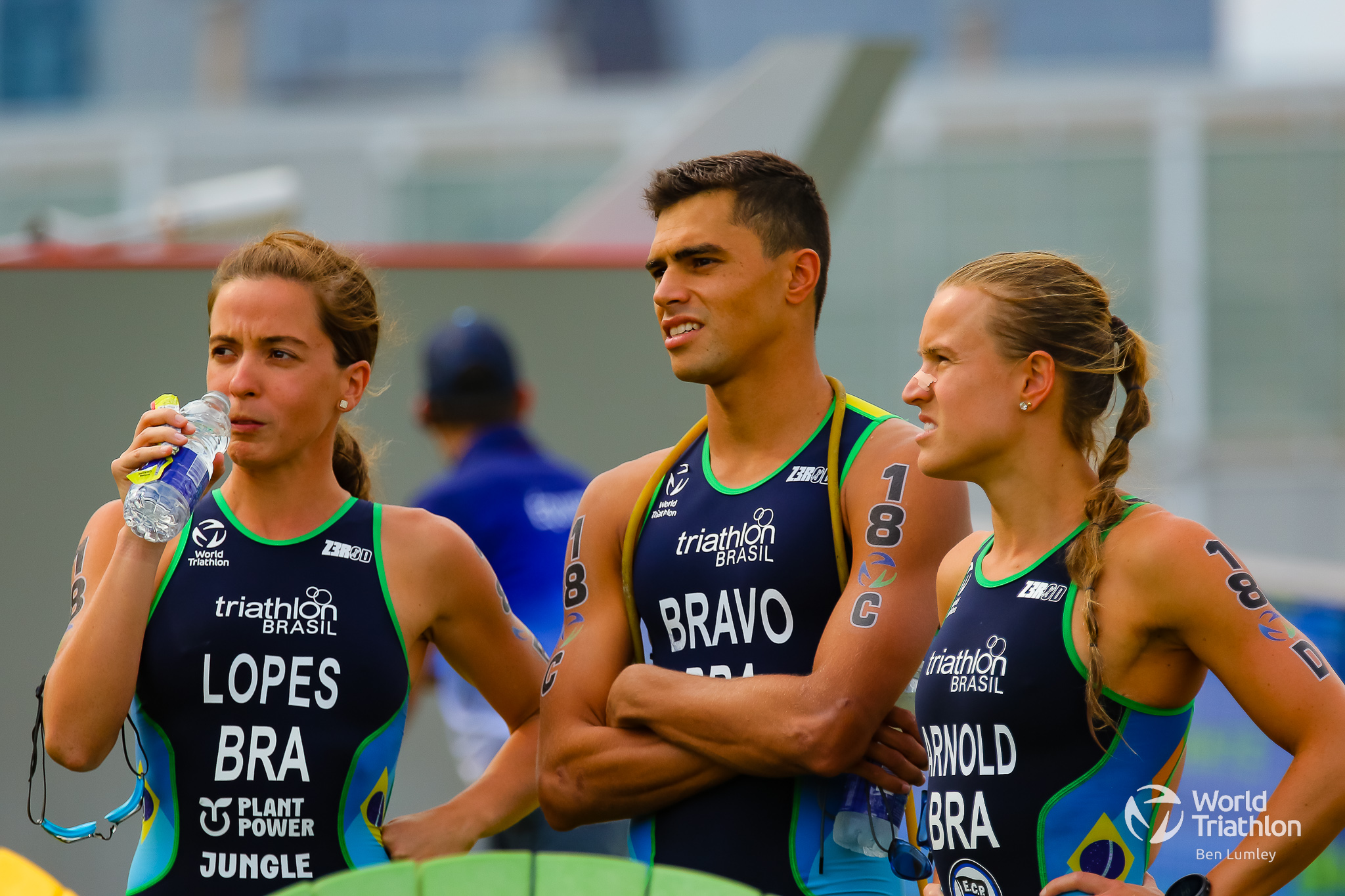 WTCS Green Rainforest Sports Bra – World Triathlon Official Store